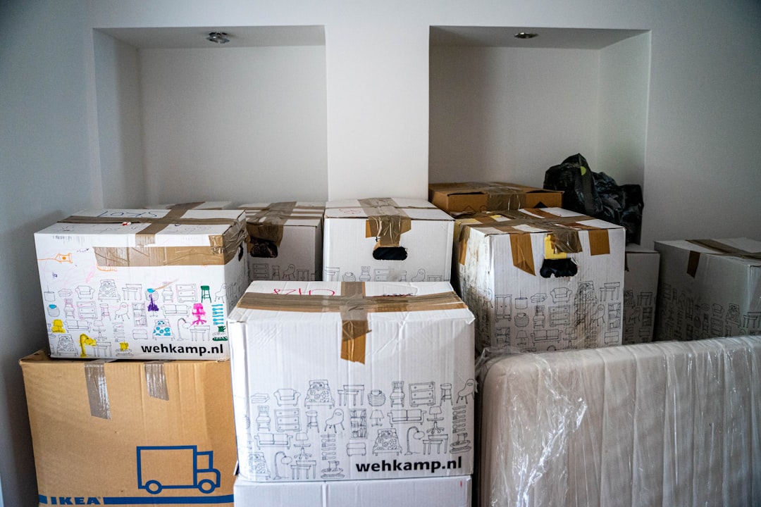 Vaciados completados en Sant Just Desvern: resultados visibles