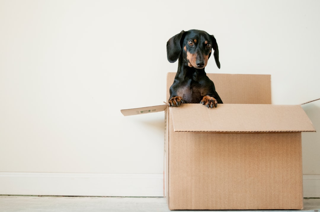 Intervenciones recientes en viviendas: eficacia y experiencia JustClean